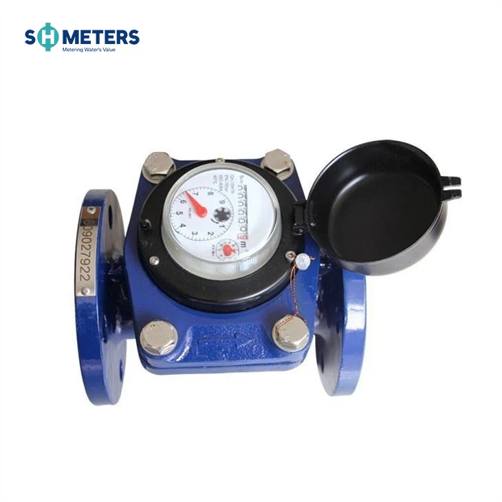 Top Selling Removable Element Woltman Cold /Hot Water Meter Top Selling Removable Element Woltman Cold /Hot Water Meter