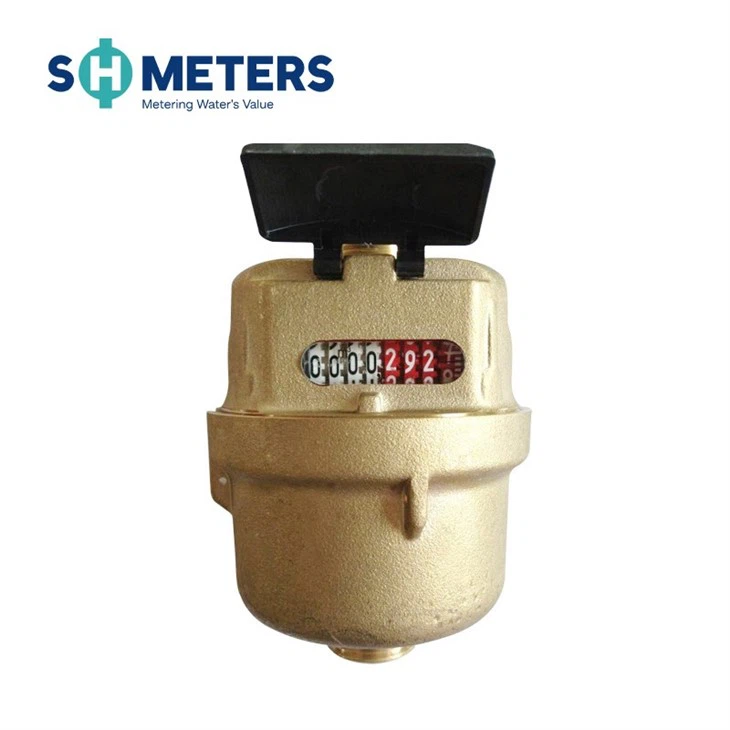 Volumetric Water Meter With Brass Body R160 DN15~40mm best Volumetric Water Meter With Brass Body R160 DN15~40mm best