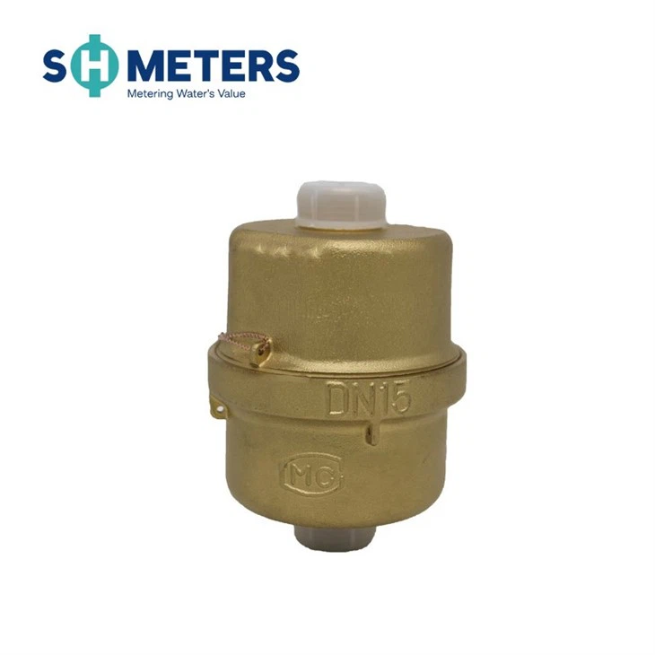 Volumetric Water Meter With Brass Body R160 DN15~40mm price Volumetric Water Meter With Brass Body R160 DN15~40mm price